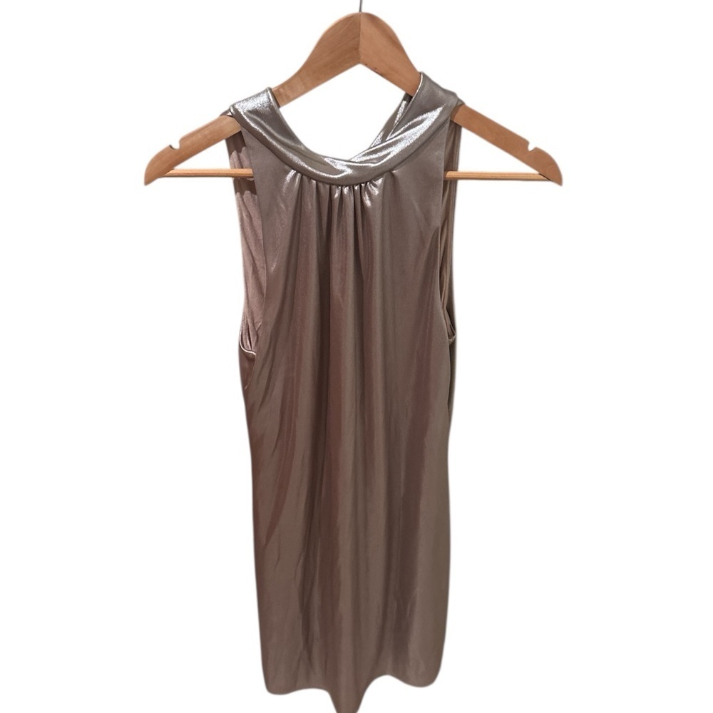 Bailey 44 Metallic Silver and Beige Dress